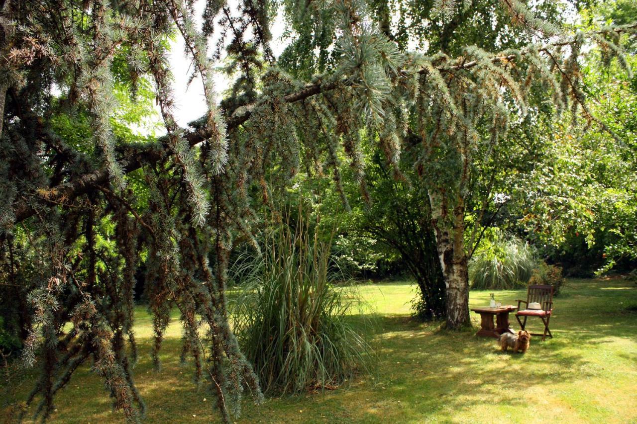 Bed and Breakfast Au Plech Mont-d'Astarac Zewnętrze zdjęcie